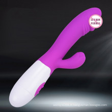 Gode ​​vibrant de silicone de jouet de sexe pour la femme Injo-Zd001